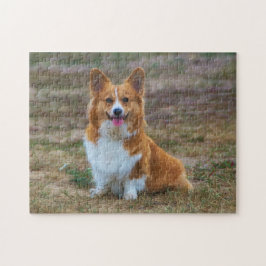 Pembroke Welsh Corgi Puppy Perro rompecabezas