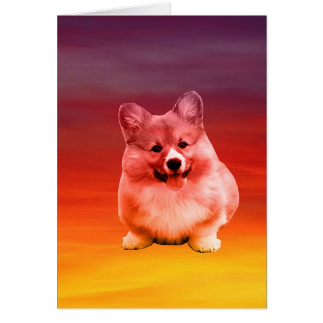 Pembroke Welsh Corgi Sentado En La Playa (Frente)