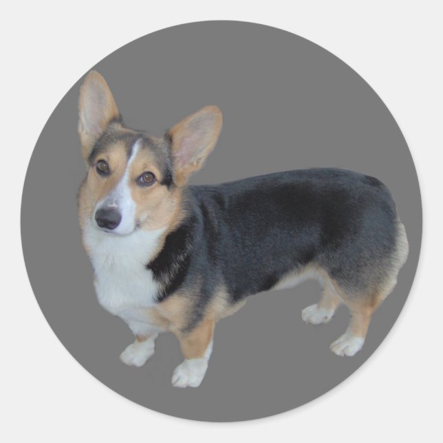 Pembroke Welsh Corgi Soulful Pegatina (Anverso)