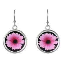 Rosa del Gerbera - margarita