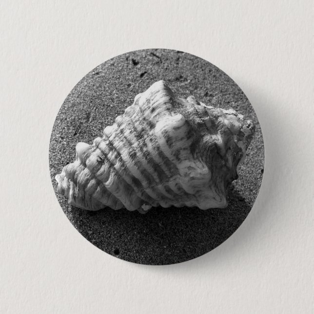 Pendor del botón de playa de arena de concha (Anverso)