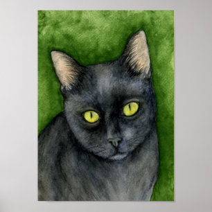 Penélope - la impresión afortunada del gato negro