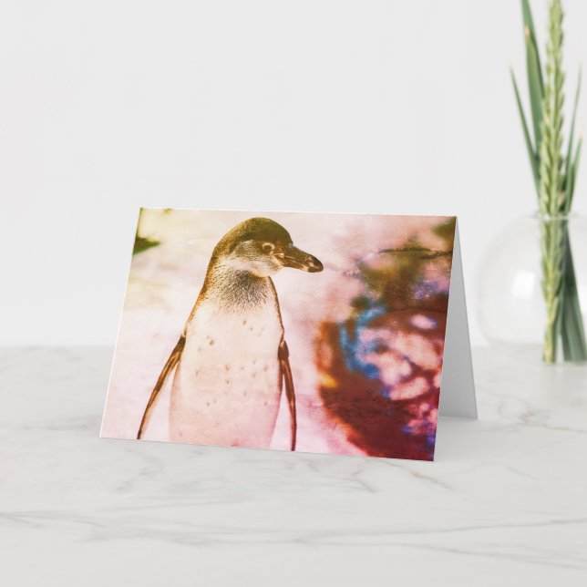 PENGUIN FOLDED NOTECARD (Anverso)