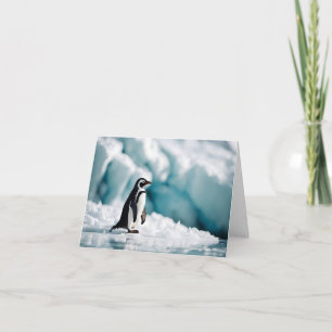 Penguin On Iceberg