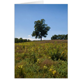 Península del río de Shagbark Nuez-Charles