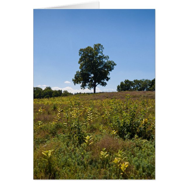 Península del río de Shagbark Nuez-Charles (Frente)