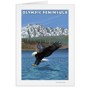 Península olímpica, águila de pesca en Washington