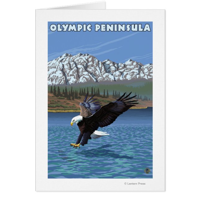 Península olímpica, águila de pesca en Washington (Frente)