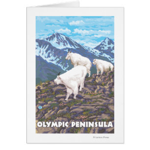 Península olímpica, cabras de WashingtonMountain