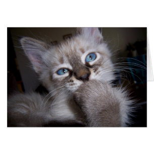 Pensador introspectivo