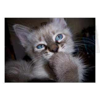 Pensador introspectivo