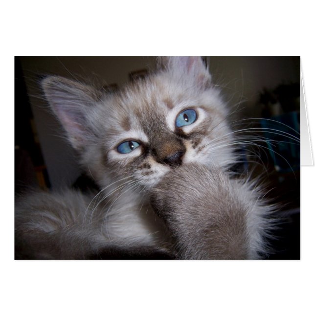 Pensador introspectivo (Anverso (Horizontal))