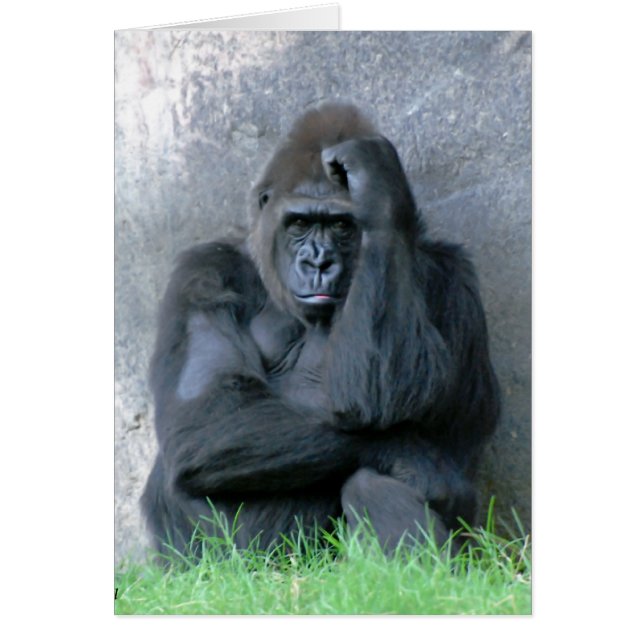 Pensamiento (Frente)