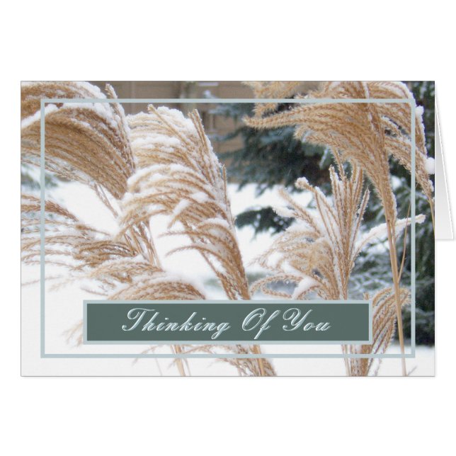 PENSAMIENTO DE USTED/GRASA ORNAMENTAL CUBIERTA DE  (Anverso (Horizontal))