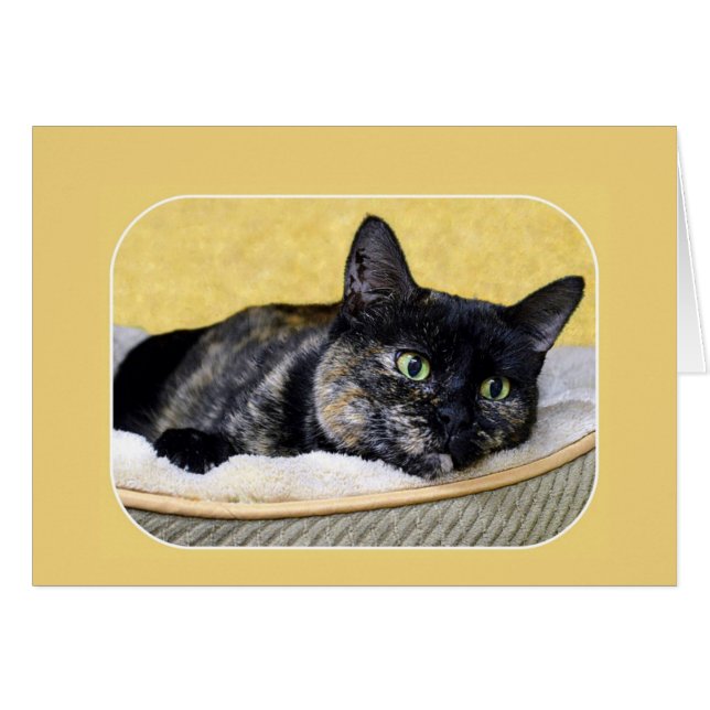 Pensamiento del gato de Tortoiseshell (Anverso (Horizontal))