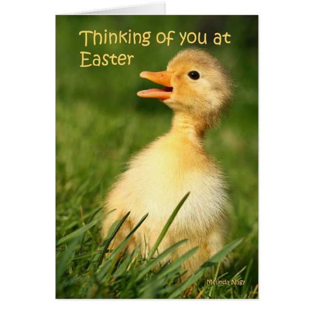 Pensamiento en usted en pascua (Frente)