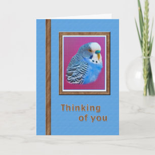 Pensamiento en usted tarjeta con el Parakeet azul