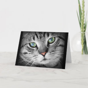 Pensamiento en usted tarjeta gris linda del gato