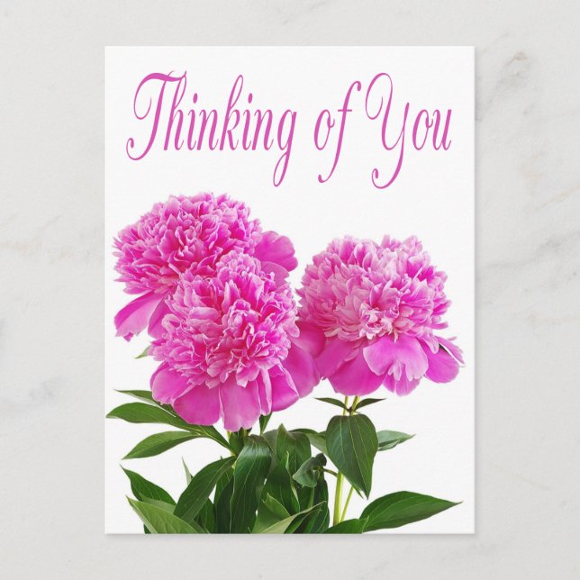Pensamiento Floral De Tu Postales De Flor De Peón  (Anverso)