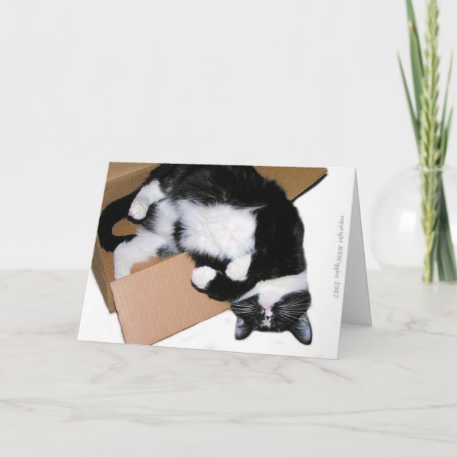 Pensamiento fuera de la tarjeta de felicitación (Anverso)