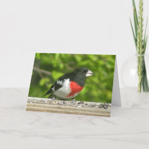 Pensamiento Grosbeak De Su Tarjeta (Impresión Gran