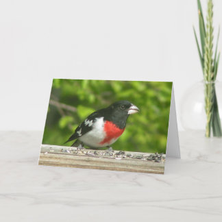 Pensamiento Grosbeak De Su Tarjeta (Impresión Gran