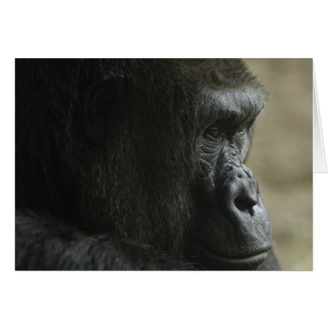 Pensamiento perdido (Anverso (Horizontal))