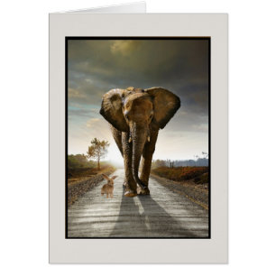 Pensamientos al azar