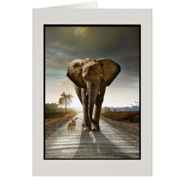 Pensamientos aleatorios (Frente)