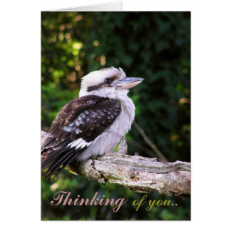 Pensamientos de Kookaburra. Tarjeta