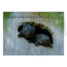 Pensamientos de nuestro agujero en la pared ......