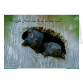 Pensamientos de nuestro agujero en la pared ......