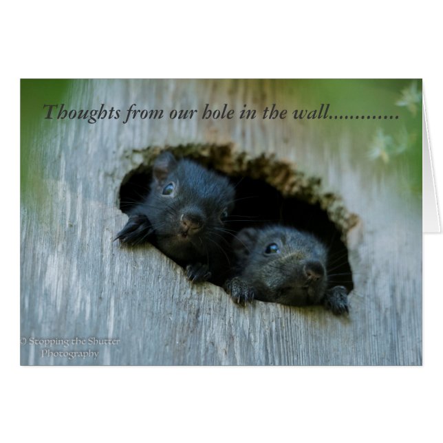 Pensamientos de nuestro agujero en la pared ...... (Anverso (Horizontal))