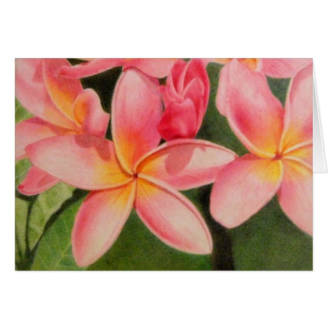 Pensamientos de Plumeria (Anverso (Horizontal))