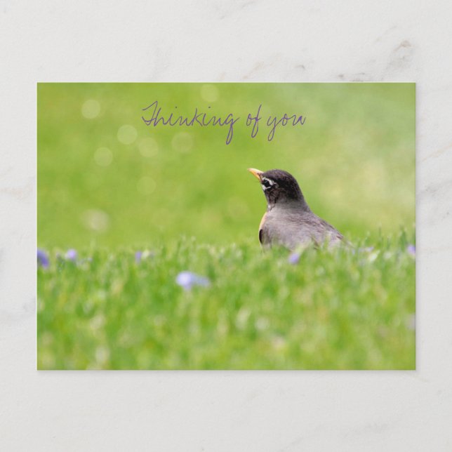 Pensamientos de tu postal  (Anverso)