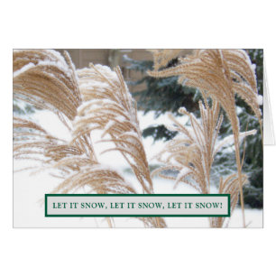 PENSAMIENTOS DE USTEDES ESTA TEMPORADA DE VACACION