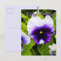 Pensamientos púrpura y blanco, Tarjeta postal de c
