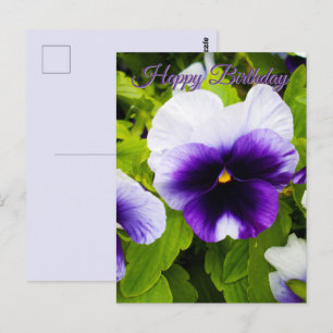 Pensamientos púrpura y blanco, Tarjeta postal de c
