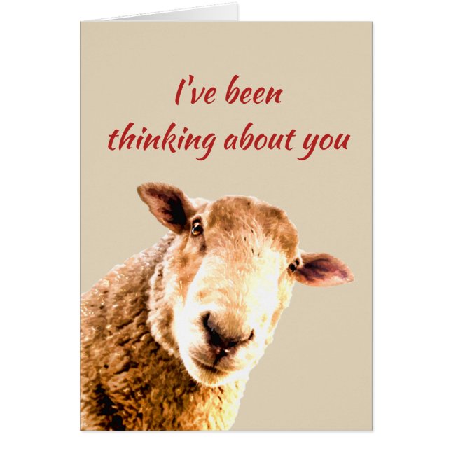 Pensando en el humor animal de ovejas divertidas (Frente)