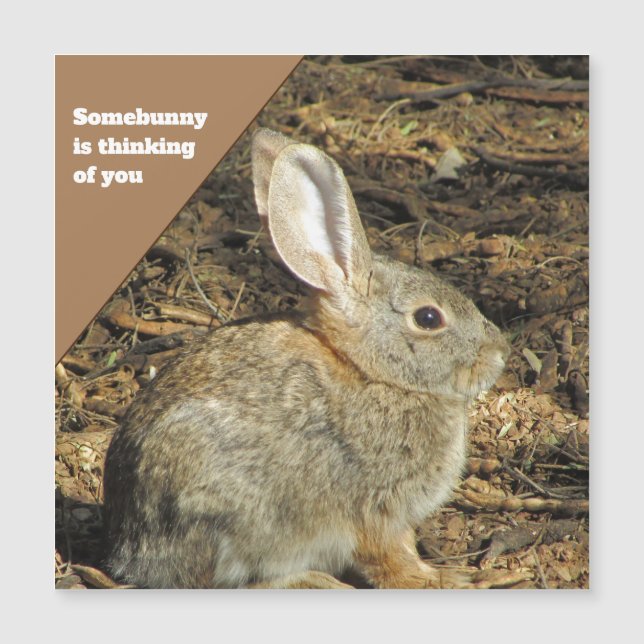 Pensando en la naturaleza de la foto de tu conejit (Anverso)