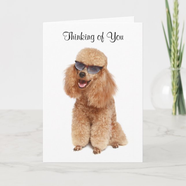 Pensando en la tarjeta de felicitación de canapé - (Anverso)