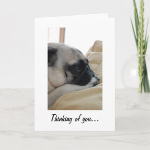 Pensando en la tarjeta de felicitación de pug