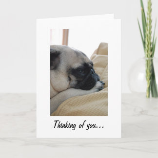 Pensando en la tarjeta de felicitación de pug