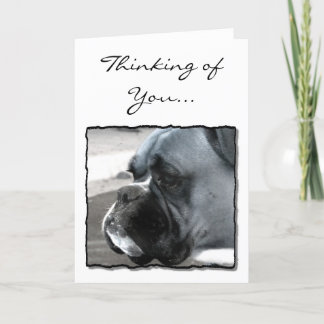 Pensando en la tarjeta de saludo de perro de You B
