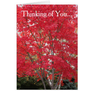Pensando en la tarjeta roja de hojas de otoño