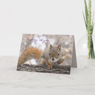 Pensando en su tarjeta 7 x 5" Sr. Bickles