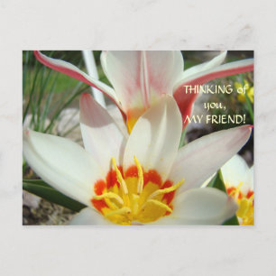 PENSANDO EN TI, AMIGO MÍO! Tarjeta Postal Flor de 