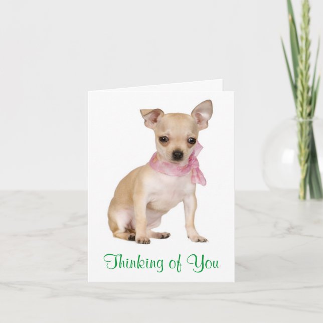 Pensando en ti Chihuahua Perro cachorro tarjeta de (Anverso)