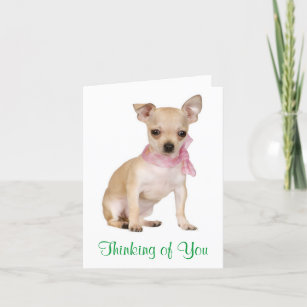 Pensando en ti Chihuahua Perro cachorro tarjeta de