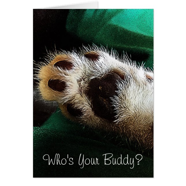 Pensando en ti, gatita foto en blanco en su interi (Frente)